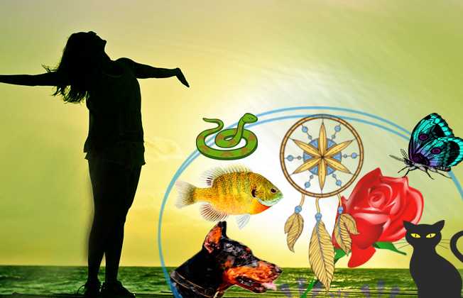 kon sopno dekhle ki hoy কোন স্বপ্ন দেখলে কি হয়