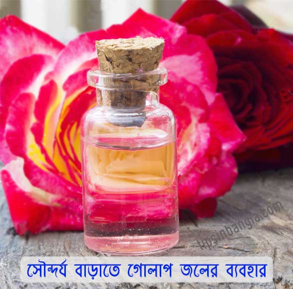 rose water beauty tips in bengali