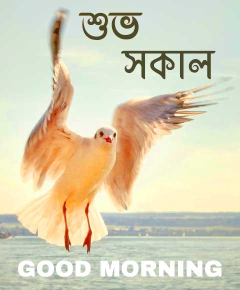 Good morning wish wallpaper for whatsapp