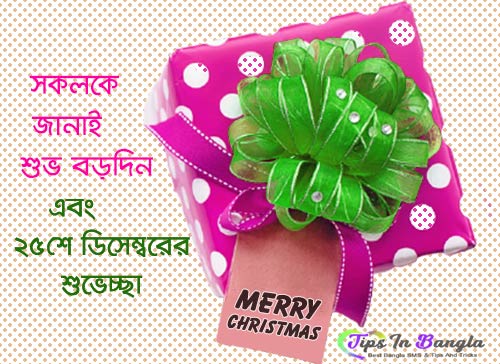 merry-christmas-wishes-bengali-2024